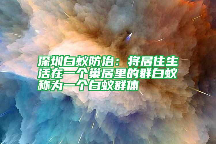 深圳白蟻防治:將居住生活在一個巢居里的群白蟻稱為一個白蟻群體