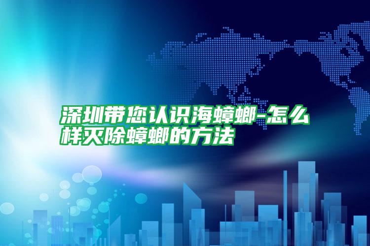 深圳帶您認識海蟑螂-怎么樣滅除蟑螂的方法