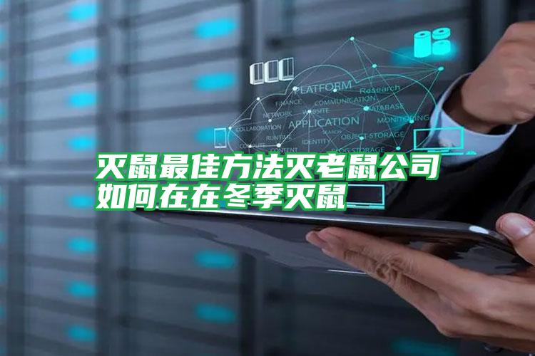 滅鼠最佳方法滅老鼠公司如何在在冬季滅鼠