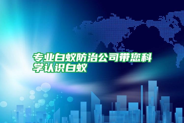 專業(yè)白蟻防治公司帶您科學認識白蟻