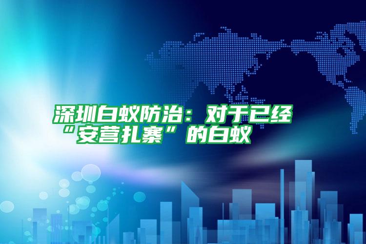 深圳白蟻防治:對于已經“安營扎寨”的白蟻
