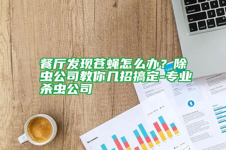 餐廳發(fā)現(xiàn)蒼蠅怎么辦?除蟲公司教你幾招搞定-專業(yè)殺蟲公司