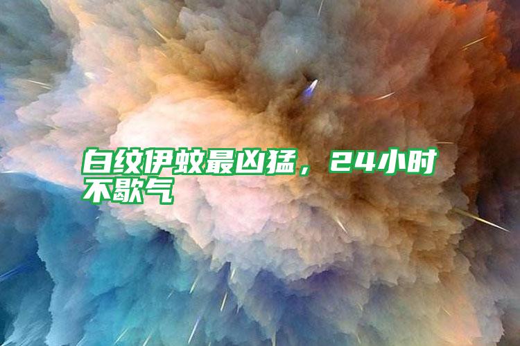 白紋伊蚊最兇猛，24小時(shí)不歇?dú)?/></p>
					 <p style=