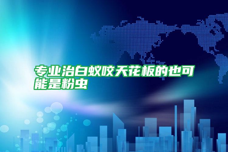 專業(yè)治白蟻咬天花板的也可能是粉蟲