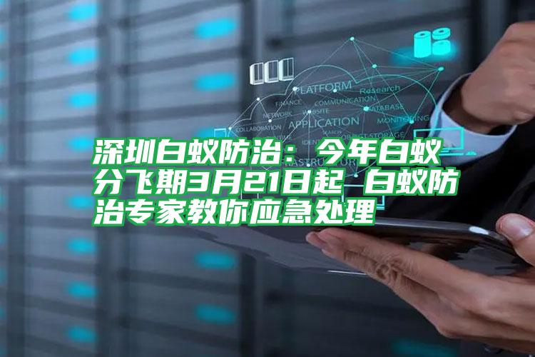 深圳白蟻防治:今年白蟻分飛期3月21日起 白蟻防治專家教你應(yīng)急處理