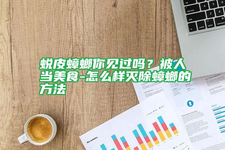 蛻皮蟑螂你見過嗎?被人當(dāng)美食-怎么樣滅除蟑螂的方法