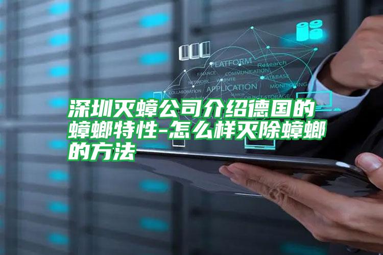 深圳滅蟑公司介紹德國(guó)的蟑螂特性-怎么樣滅除蟑螂的方法