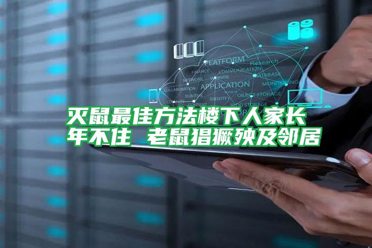 滅鼠最佳方法樓下人家長(zhǎng)年不住 老鼠猖獗殃及鄰居