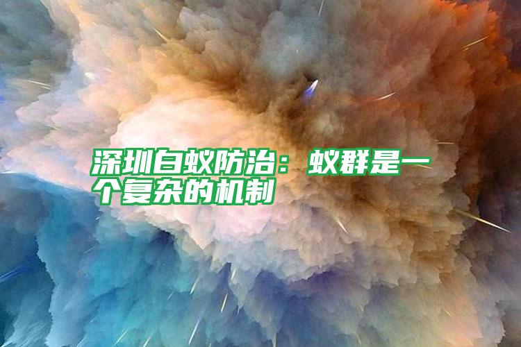 深圳白蟻防治:蟻群是一個(gè)復(fù)雜的機(jī)制