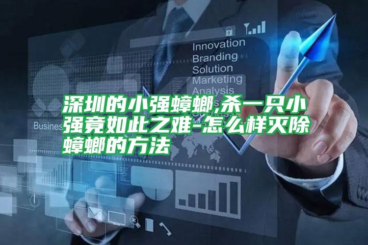 深圳的小強(qiáng)蟑螂,殺一只小強(qiáng)竟如此之難-怎么樣滅除蟑螂的方法