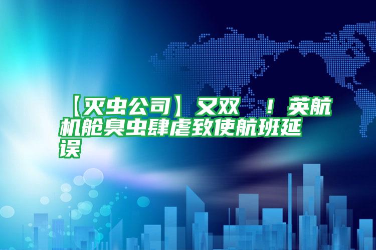 【滅蟲公司】又雙叒叕!英航機艙臭蟲肆虐致使航班延誤