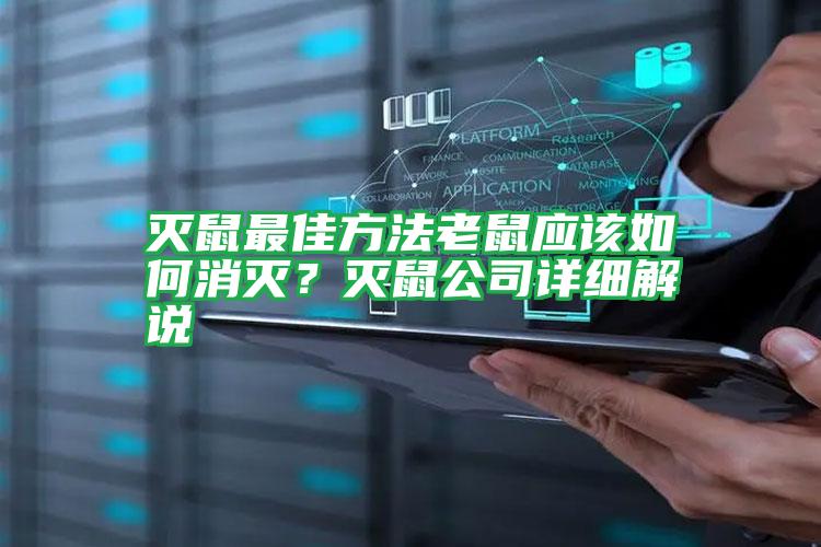 滅鼠最佳方法老鼠應(yīng)該如何消滅?滅鼠公司詳細(xì)解說