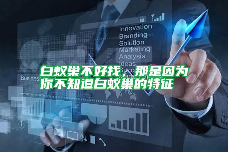 白蟻巢不好找，那是因?yàn)槟悴恢腊紫伋驳奶卣?/></p>
					 <p style=