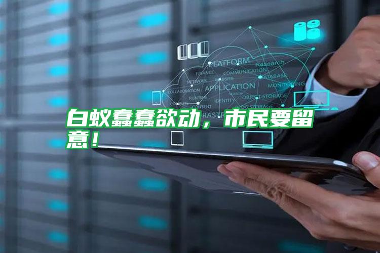 白蟻蠢蠢欲動(dòng),市民要留意!