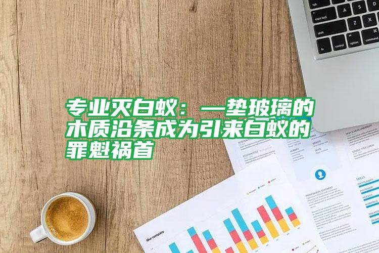 專業(yè)滅白蟻：—墊玻璃的木質(zhì)沿條成為引來白蟻的罪魁禍?zhǔn)?/></p>
					 <p style=