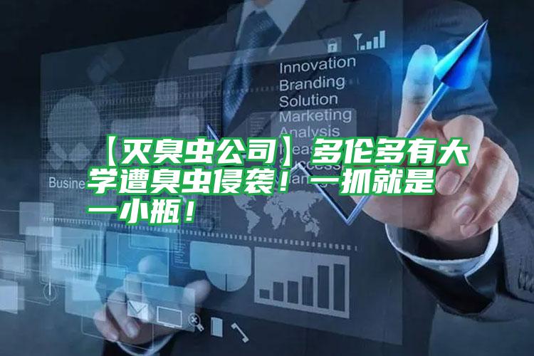 【滅臭蟲公司】多倫多有大學(xué)遭臭蟲侵襲!一抓就是一小瓶!