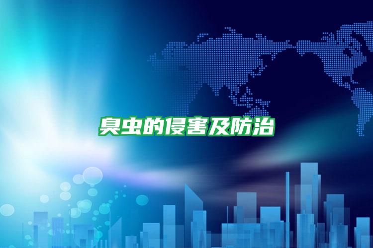 臭蟲(chóng)的侵害及防治