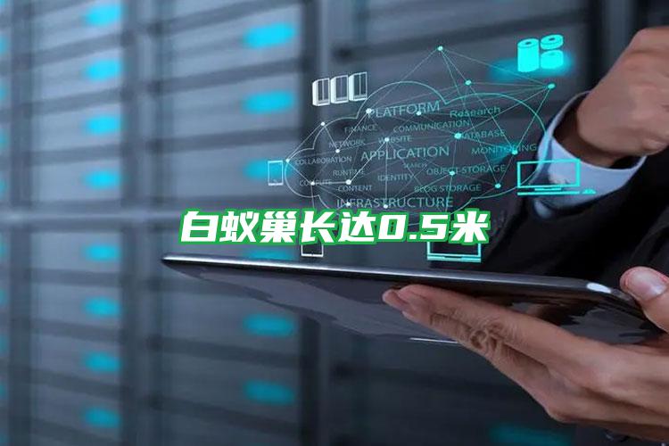 白蟻巢長達0.5米