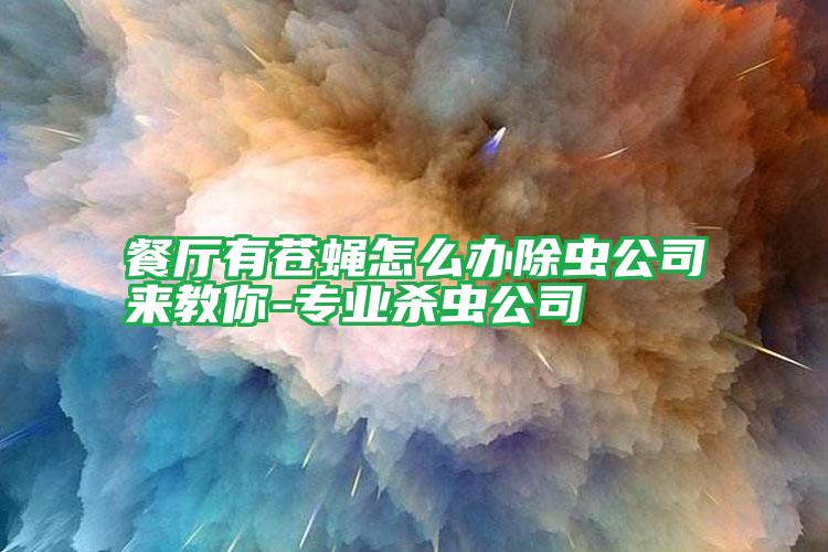 餐廳有蒼蠅怎么辦除蟲(chóng)公司來(lái)教你-專(zhuān)業(yè)殺蟲(chóng)公司