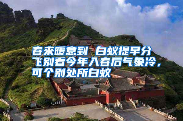 春來暖意到 白蟻提早分飛別看今年入春后氣象冷，可個別處所白蟻