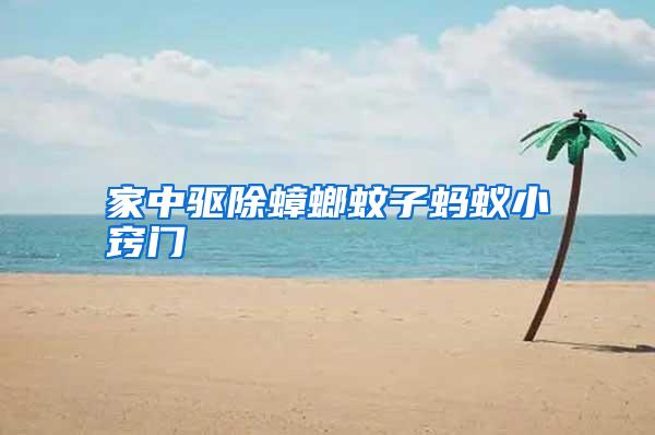 家中驅(qū)除蟑螂蚊子螞蟻小竅門(mén)