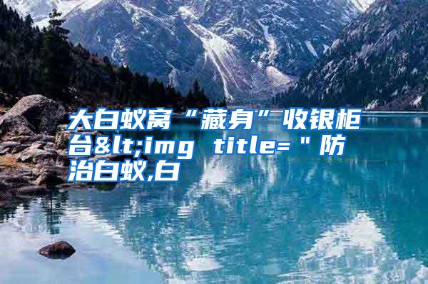 大白蟻窩“藏身”收銀柜臺(tái)<img title="防治白蟻,白