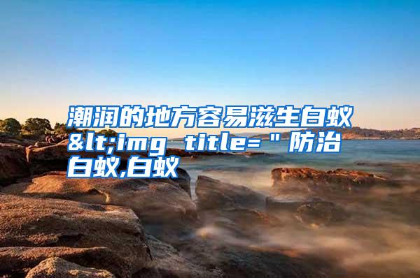 潮潤的地方容易滋生白蟻<img title="防治白蟻,白蟻