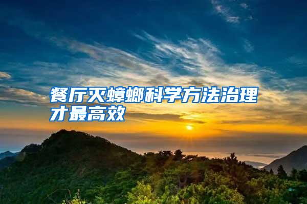餐廳滅蟑螂科學(xué)方法治理才最高效