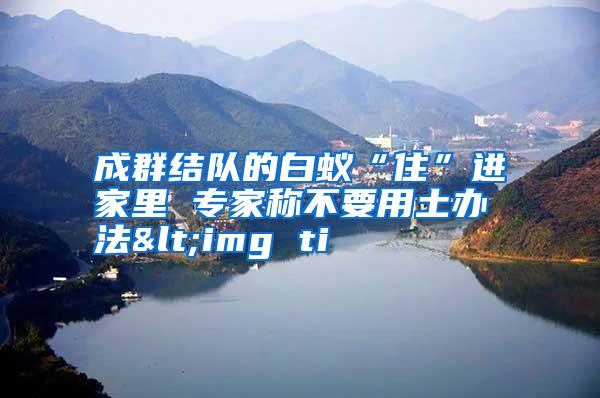 成群結(jié)隊(duì)的白蟻“住”進(jìn)家里 專家稱不要用土辦法<img ti