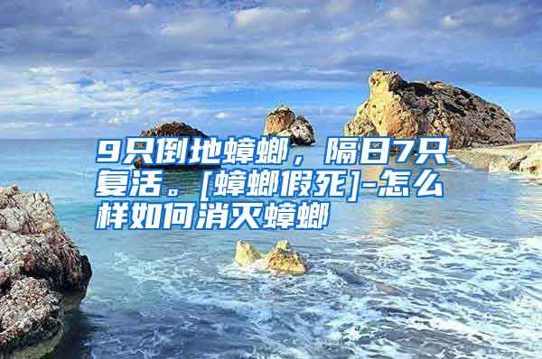 9只倒地蟑螂，隔日7只復(fù)活。[蟑螂假死]-怎么樣如何消滅蟑螂