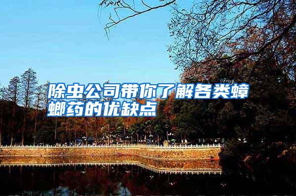 除蟲公司帶你了解各類蟑螂藥的優(yōu)缺點(diǎn)