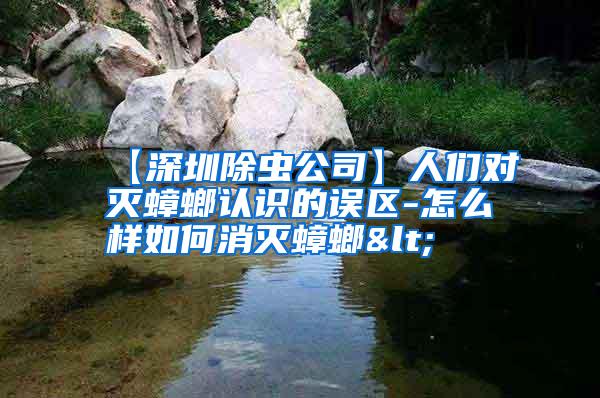【深圳除蟲公司】人們對滅蟑螂認識的誤區(qū)-怎么樣如何消滅蟑螂<