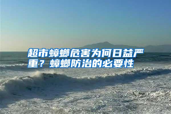 超市蟑螂危害為何日益嚴重?蟑螂防治的必要性