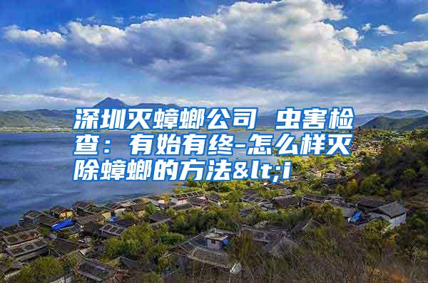 深圳滅蟑螂公司 蟲害檢查:有始有終-怎么樣滅除蟑螂的方法<i