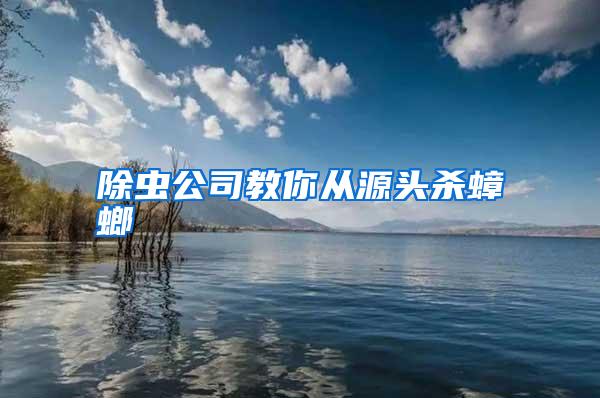 除蟲公司教你從源頭殺蟑螂