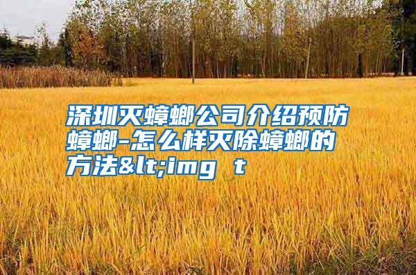 深圳滅蟑螂公司介紹預(yù)防蟑螂-怎么樣滅除蟑螂的方法<img t
