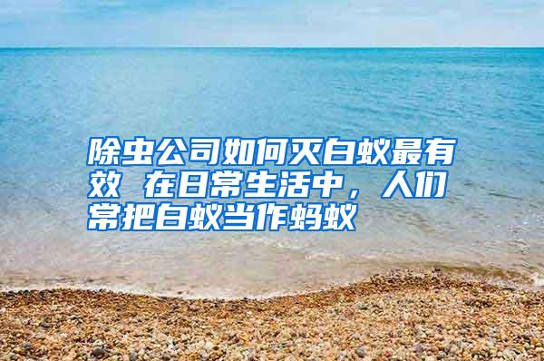 除蟲公司如何滅白蟻?zhàn)钣行?在日常生活中,人們常把白蟻當(dāng)作螞蟻