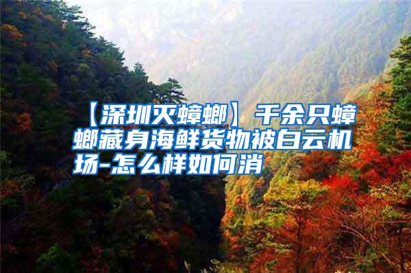 【深圳滅蟑螂】千余只蟑螂藏身海鮮貨物被白云機場-怎么樣如何消