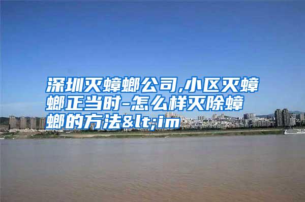 深圳滅蟑螂公司,小區(qū)滅蟑螂正當時-怎么樣滅除蟑螂的方法<im