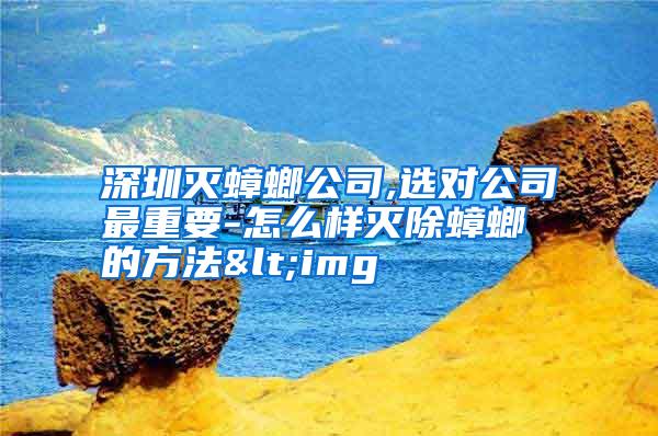 深圳滅蟑螂公司,選對公司最重要-怎么樣滅除蟑螂的方法<img