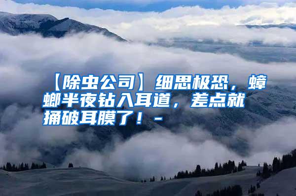 【除蟲公司】細(xì)思極恐,蟑螂半夜鉆入耳道,差點(diǎn)就捅破耳膜了!-
