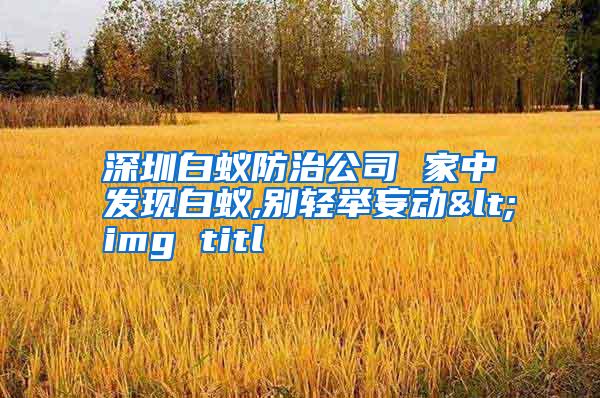 深圳白蟻防治公司 家中發(fā)現白蟻,別輕舉妄動<img titl