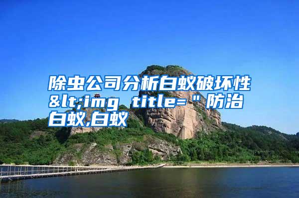 除蟲(chóng)公司分析白蟻破壞性<img title="防治白蟻,白蟻