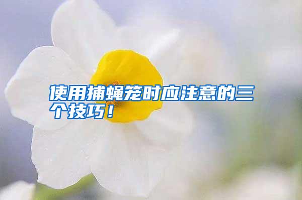 使用捕蠅籠時(shí)應(yīng)注意的三個(gè)技巧!