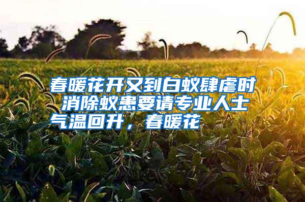 春暖花開又到白蟻肆虐時(shí) 消除蟻患要請(qǐng)專業(yè)人士氣溫回升,春暖花