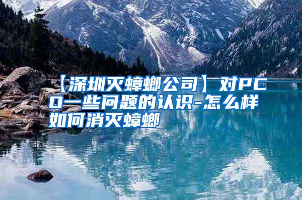 【深圳滅蟑螂公司】對PCO一些問題的認識-怎么樣如何消滅蟑螂