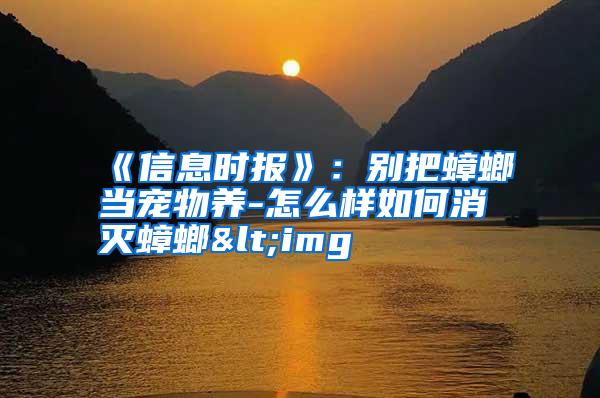 《信息時報》:別把蟑螂當寵物養(yǎng)-怎么樣如何消滅蟑螂<img