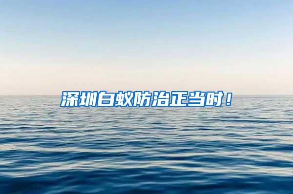 深圳白蟻防治正當(dāng)時(shí)！