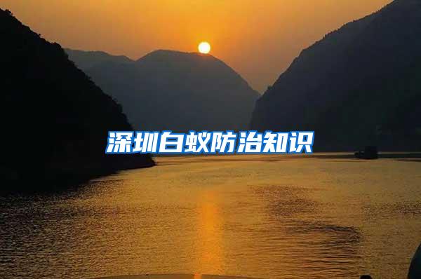深圳白蟻防治知識
