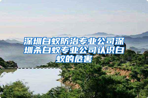 深圳白蟻防治專業(yè)公司深圳殺白蟻專業(yè)公司認(rèn)識(shí)白蟻的危害